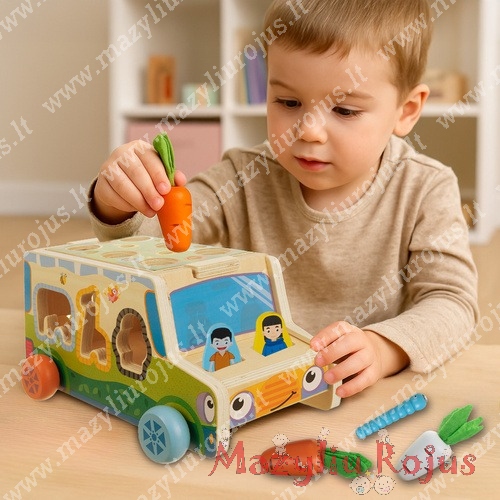 Multifunkcinis žaislas "Žaidimų automobilis"